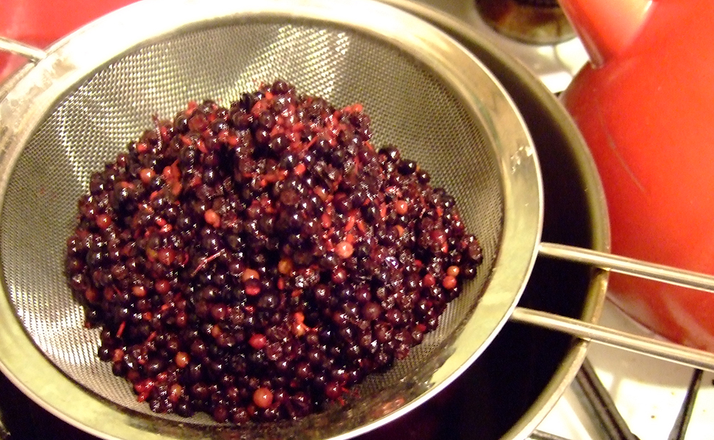 Elderberries sieved after five days soaking in vinegar.