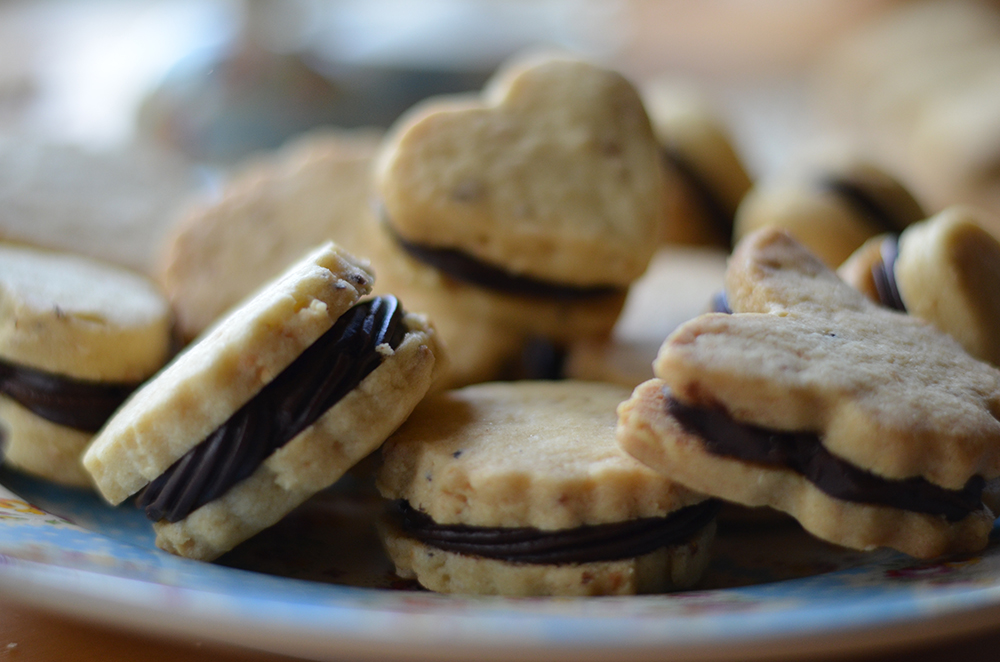 Shortbread Close Up