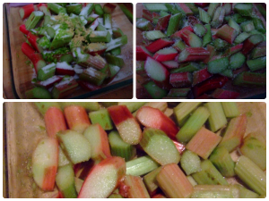 Coating the rhubarb, leaving it sit and the roasted rhubarb